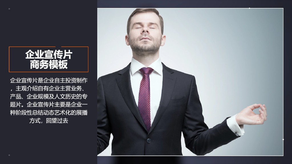 【PR模板】企业宣传人物介绍PR模板-PoseAe视频创意库-PoseAe