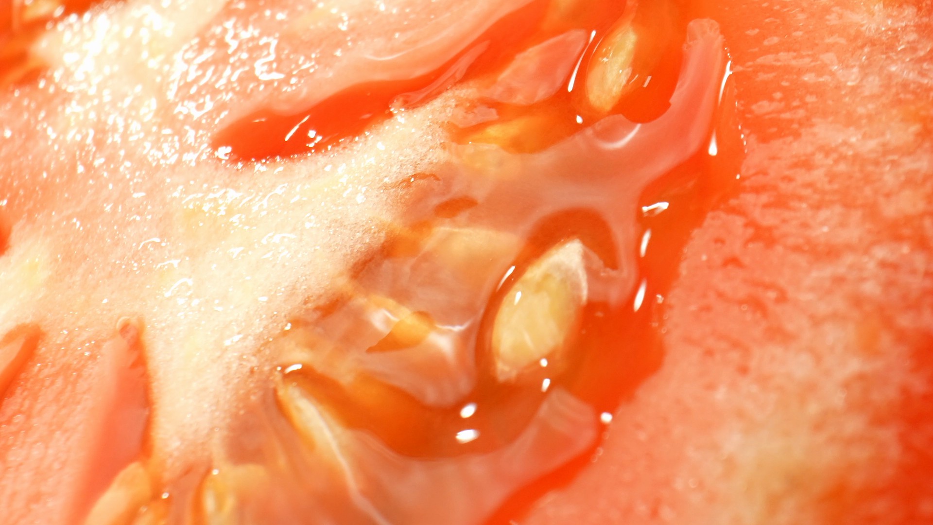 【实拍视频】西红柿微距拍摄-PoseAe