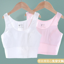 Girls underwear bra cotton Teenage girls developmental vest type corset Junior high school students anti-bump sports bandeau