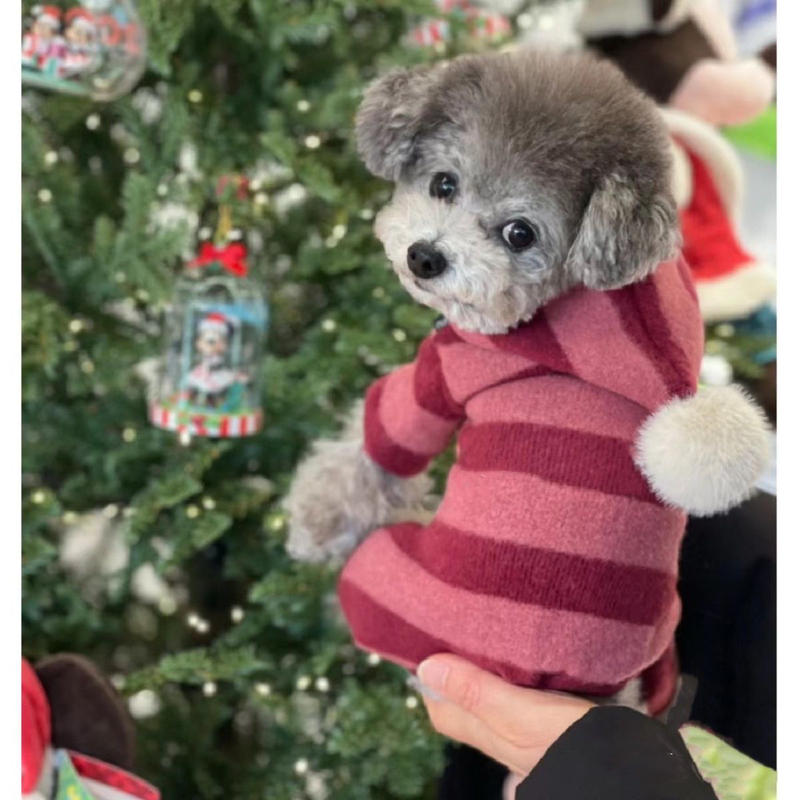 Pet Winter Hooded Sweatshirt Dog Autumn and Winter Outwear Cat and Dog Clothes Teddy Bichon Yorkshire Terrier