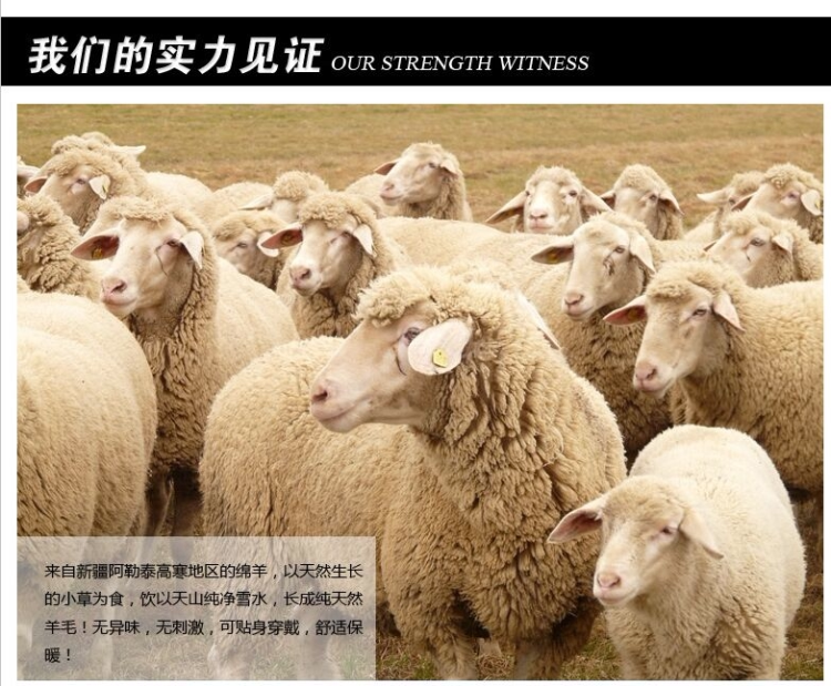 Pantalon cuir homme droit pour hiver - Ref 1493234 Image 26