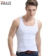 Áo vest nam nam bó sát cơ thể bó sát thể thao cotton tập thể dục Kiểu dáng mỏng co giãn đáy áo thấm mồ hôi nam không tay ba lỗ