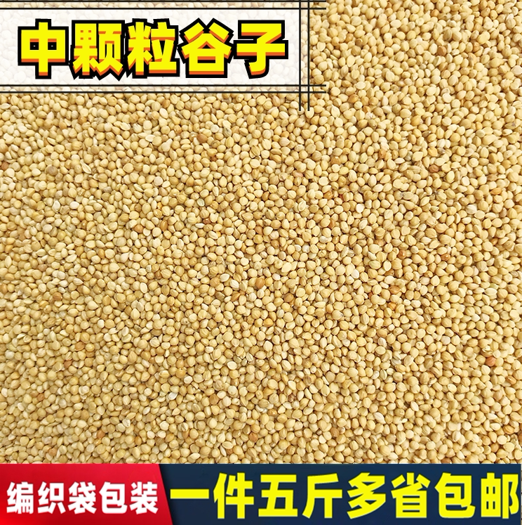 New yellow millet with shell millet tiger skin peony Xuanfeng small and medium-sized parrot bird food bird food bird feed 5 catties
