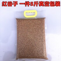High quality with shell red gluten brightening hair color full bird food and bird food and tiger leather parrot pearl five catties vacuum packing