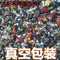 Medium Large Parrot Mixed Grain Sun Monk Sublime grey Parrot sunflower Sunflower Feed Bird Grain 1 catty