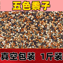 Tiger Peony Peony Cockatoo Parrot Pigeon Vegan Bird Food Feed Five-coloured Millet Parrot Mixed Grain Barn 1 catty vacuum