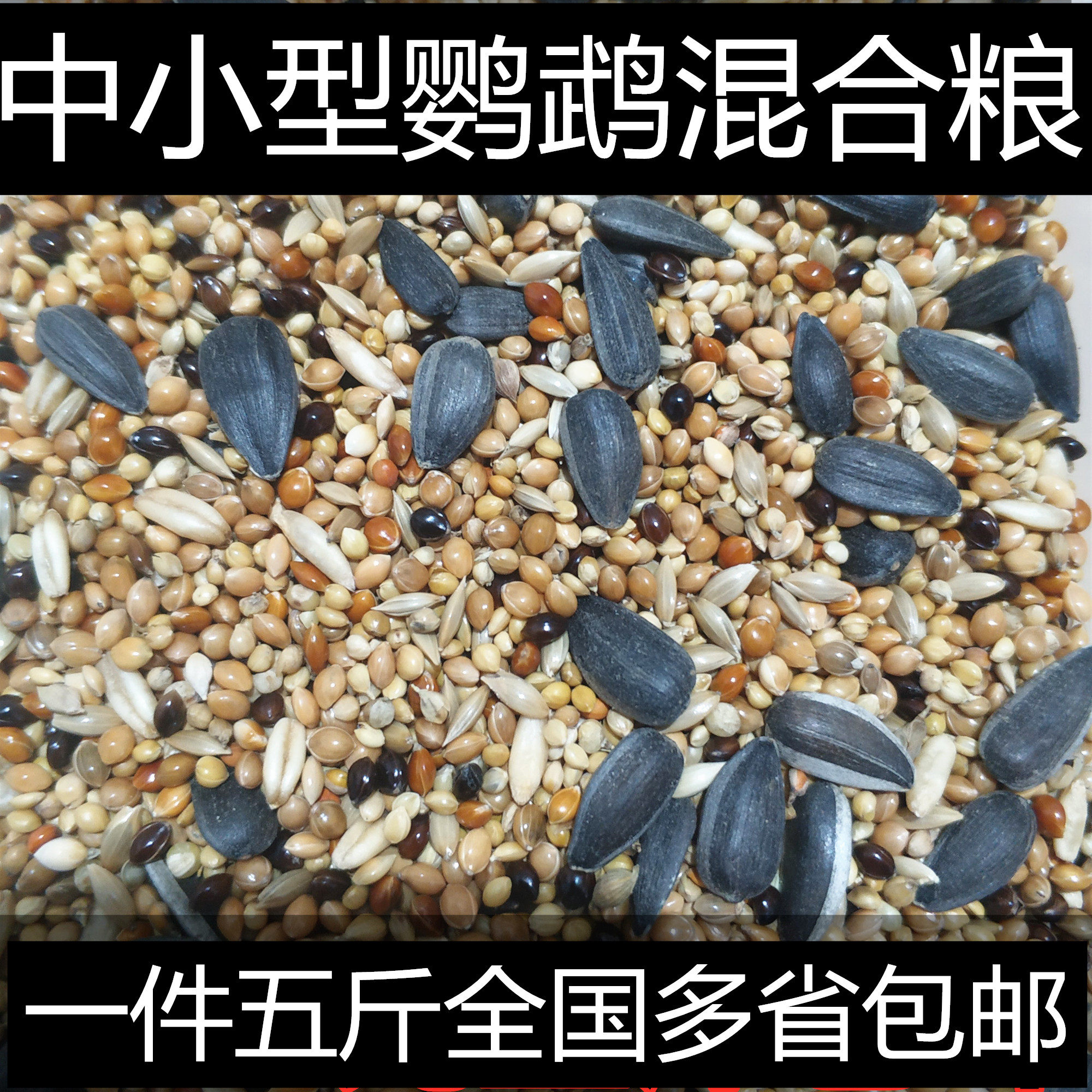 Tiger Peony Peony Mysterious small and medium-sized parrot bird food feed five-color millet parrot mixed nutritious grain valley