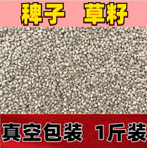 Bird Eater Hay Seed Grass Seed Grass Seed Hibiscus Bird Parrot Pearl Bird Vin Bird Protein High Vacuum Pack 500g