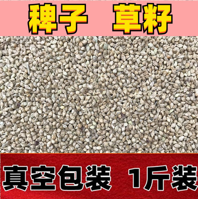 ອາຫານນົກ barnyard grass seed hibiscus bird parrot pearl bird bird protein high vacuum packaging 500g