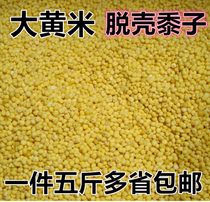 Parrot tiger bark Xuan phoenix bird pigeon pigeon bird food without shell rhubarb rice cereal 5 color millet bird grain without shell grain