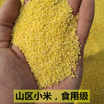 Shell-less grain millet Wenbird pearl bird tiger leather parrot bird food and bird feed egg millet raw material one piece