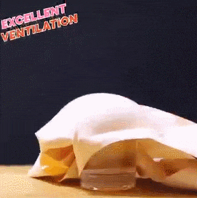 10.gif