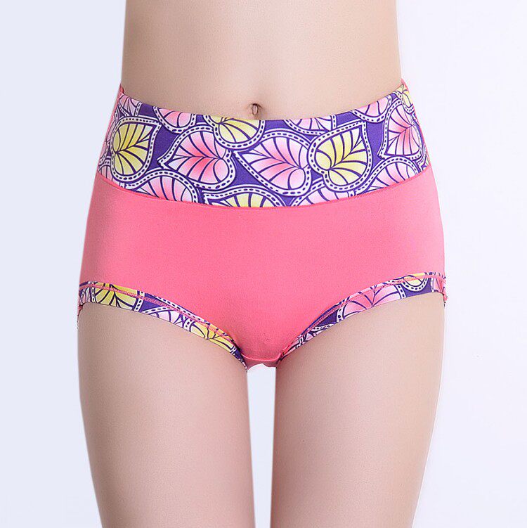 Slip Moyen-âge simple en coton - Ref 653830 Image 10