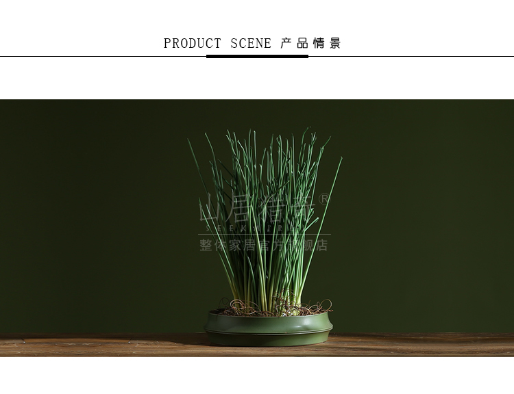 Lucky bamboo now rising refers to hydroponic flower implement creative home indoor meaty plant ceramic bamboo flower pot