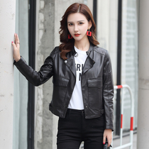 Haining Sheepskin leather leather jacket womens short 2019 autumn new Korean version loose motorcycle small leather jacket