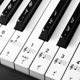 ສະຕິກເກີໂນນເປຍໂນເປຍໂນສະຕິກເກີອີເລັກໂທຣນິກເປຍໂນໄຟຟ້າ piano ເດັກນ້ອຍເລີ່ມຕົ້ນສະຕິກເກີໂນດດົນຕີດົນຕີ 88/61/54 universal