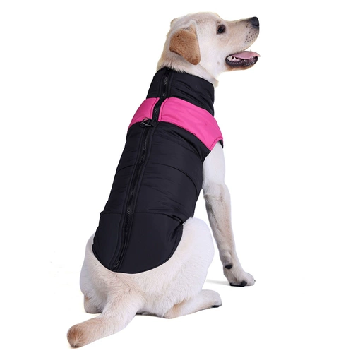 Веселая собачья одежда зима большая собака само золотисто -ретривер увы