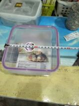 Shunxin C161 square large fresh-keeping box does not contain bisphenol A food grade raw material sealing strip full 39