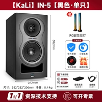 IN5 [Black*Single] + [Поглощающий амортизатор динамика + аудиокабель]