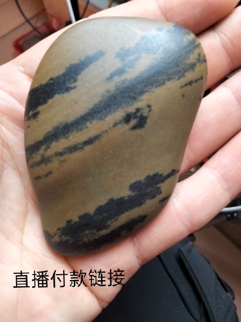 Guangxi Dawan Stone Large Fossil Gobi Stone Agate