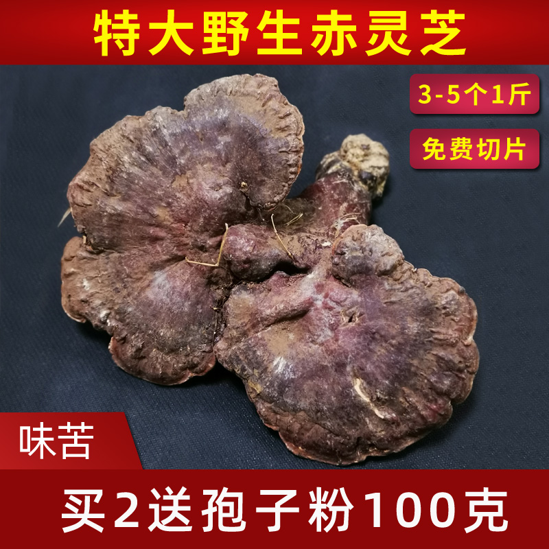 Ganoderma lucidum Wild Red Reishi Natural Wild Reishi 500 grams of whole Nyingchi free sliced milling powder