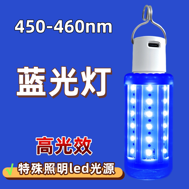 Blue Light Lamp for Deoxidation, Blue Light Catalytic Lamp, Shoe Fluorescent Purple Light, Green Yellow Red Light, Beauty Lamp, Dust Detection Lamp, Darkroom Lamp Blue Light Lamp for Deoxidation, Blue Light Catalytic Lamp, Shoe Fluorescent Purple Light, Green Yellow Red Light, Beauty Lamp, Dust Detection Lamp, Darkroom Lamp