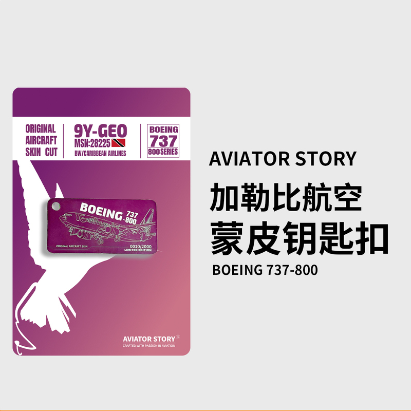 Caribbean Airlines Boeing 737 Aircraft Skin Keychain Luggage Tag Limited Edition Collectible Commemorative Cultural and Creative Product
