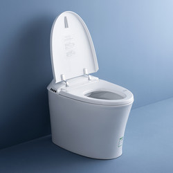 Wrigley Small-Sized Light Smart Toilet Small-Sized All-In-One Direct Flush Electric Booster Automatic Flushing Toilet
