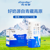 Amas family pure milk full carton 250ml * 12 boxes gift box packaging children pregnant women nutrition fresh Qinghai-Tibet Plateau