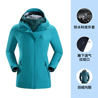 Женский KG120014 Ся Лянзи [Tag 2999]