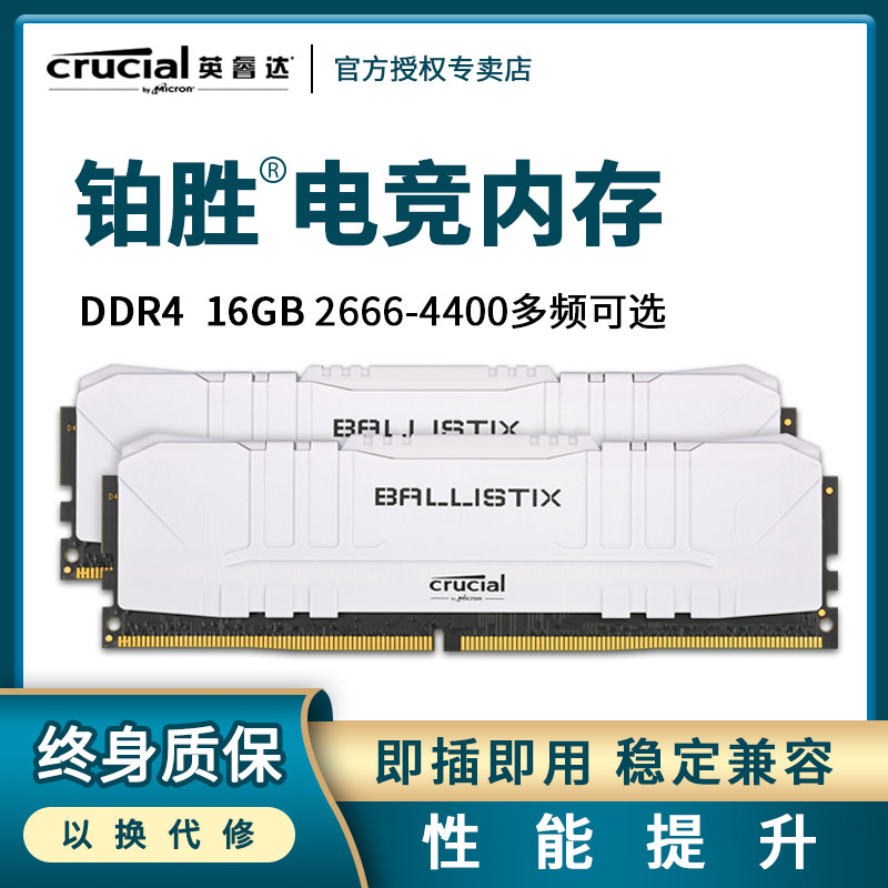 Micron Indytec 8G DDR4 Desktop 3000 3200 3600 Memory Module C9BJZ C9BKV C9BLM