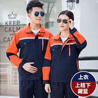 Тибетская синяя вершина апельсинового топа