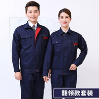 Тибетский синий набор Обыкновенного воротника