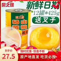 12 cans*425g canned yellow peach canned fruit Dangshan specialty fresh fruit sugar water canned peach large folio