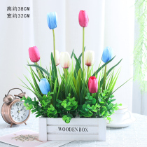 Simulation of green plant pot green lottery living room dining table window simulation flower plastic flower fence simulation plant