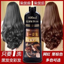 Cover white hair one-wash color hair dye chestnut brown brown wine red grape purple black hair dye white to black 