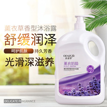 Perfume shower gel Lavender large capacity family pack Long-lasting fragrance body moisturizing Refreshing male and female universal