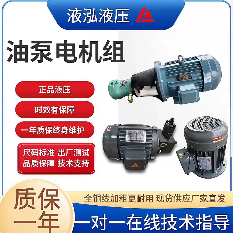 Bộ bơm dầu động cơ thủy lực 0.75KW/1.5KW/2.2KW kèm cụm bơm dầu thủy lực VP20/VP40 bơm thuy luc bơm dầu thủy lực