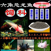 Hexagon dinosaur fish special feed hexagonal Dragon Oriental salamander baby fish sinking grain fish food pet fish food