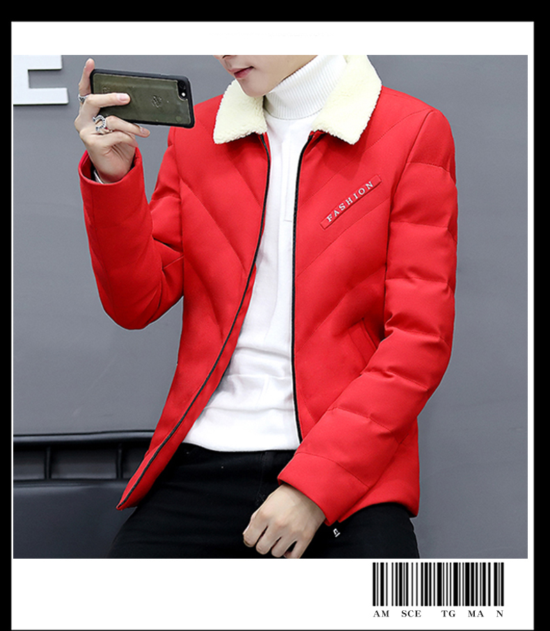 Blouson hiver pour homme en Polyester - Ref 3114687 Image 31