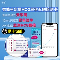 Беременная оранжевая полу -Quantitation