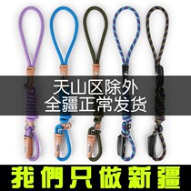 Puppy dog P chain Traction rope Belt Teddy dog chain Small medium large dog Golden retriever dog walking rope Pet supplies