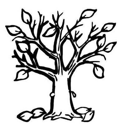 白杨树Poplar