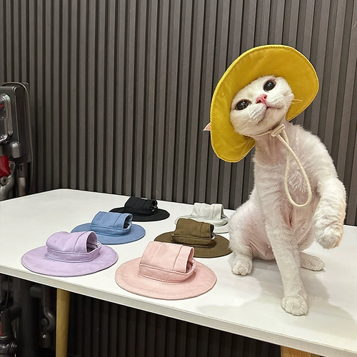 Renfacai Classic Basic Sun Stat