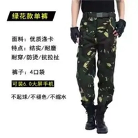 Специальные брюки для кампании военной кампании