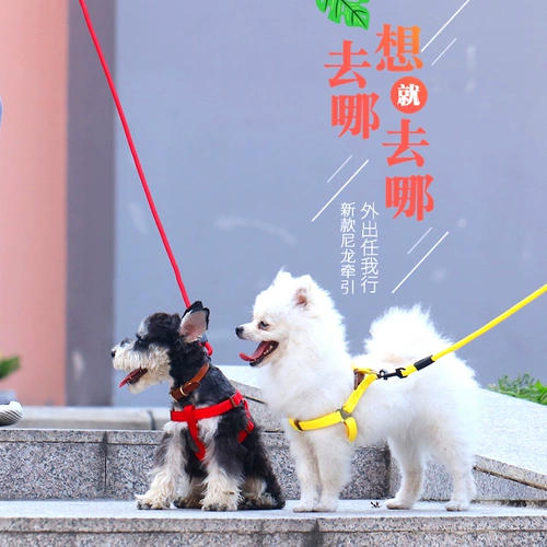 Собака для собак цепь плюшевые золотые волосы маленькие средние щенки щенка для собак веревочный ремень для питомца при снабжении воротник