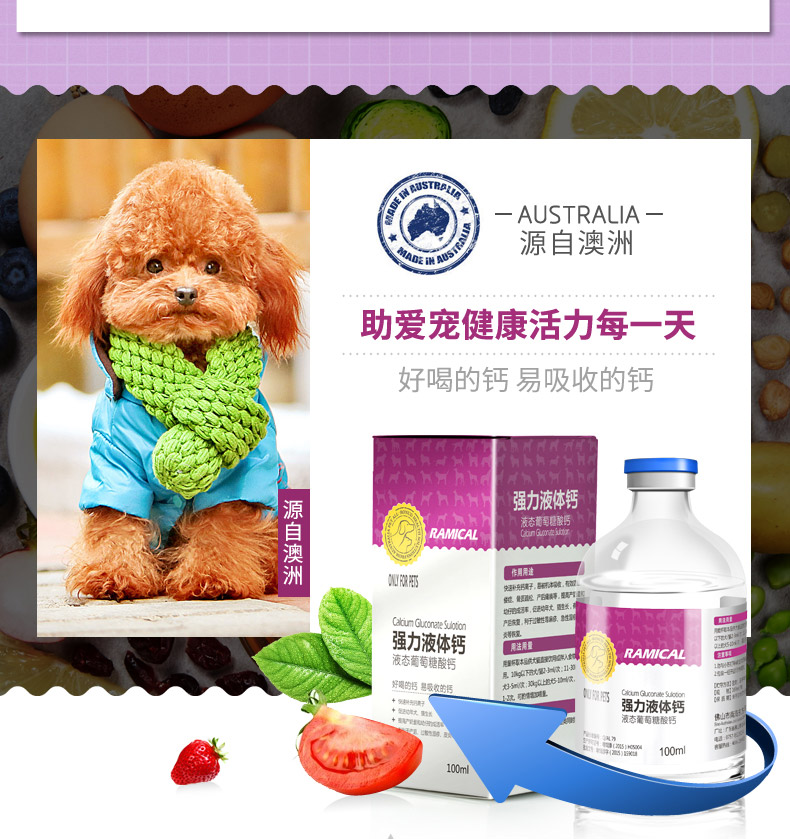 Remy chất lỏng cường độ cao vật nuôi canxi con chó canxi viên teddy lông vàng con chó con mèo bột canxi lớn con chó xương canxi sức khỏe - Cat / Dog Health bổ sung sữa cho chso mẹ