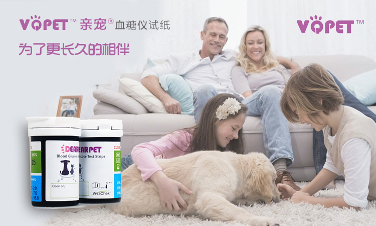 Pro mèo và chó tiểu đường đo đường huyết thử nghiệm 100 để gửi quà tặng! - Cat / Dog Medical Supplies kim tiêm cho chó