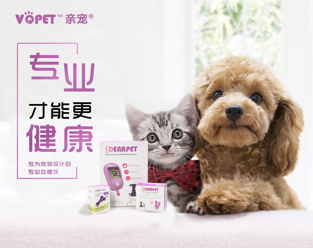 Pro mèo và chó tiểu đường đo đường huyết thử nghiệm 100 để gửi quà tặng! - Cat / Dog Medical Supplies kim tiêm cho chó