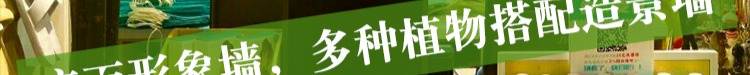 Nhà máy mô phỏng tường ban công trang trí cây xanh tường thảm cỏ giả cỏ xanh giả hoa tường trang trí tường cỏ - Hoa nhân tạo / Cây / Trái cây hoa mộc lan giả
